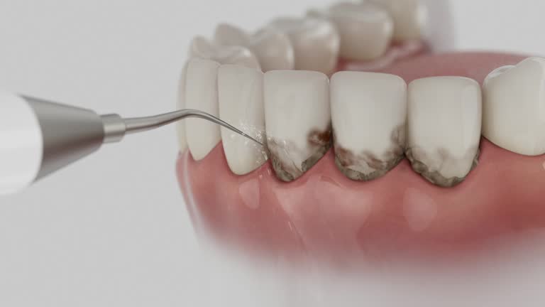 Reliable Dental contractor in Scenic Oaks, TX by Dentist Open Now